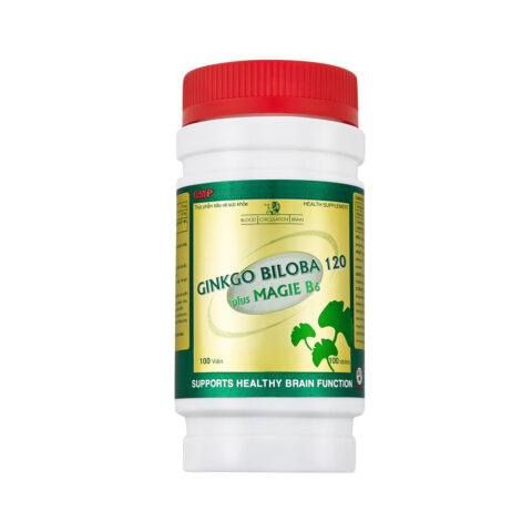 GINKGO BILOBA 120 PLUS MAGIE B6 - HỘP 10 VỈ X 10 VIÊN NANG MỀM