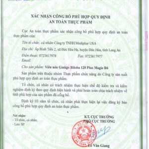 GINKGO BILOBA 120 PLUS MAGIE B6 - HỘP 10 VỈ X 10 VIÊN NANG MỀM