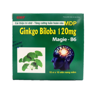 GINKGO BILOBA 120 MAGIE B6 HỘP 10 VỈ X 10 VIÊN NANG MỀM