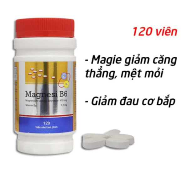 MAGNESI B6 CHAI 120 VIÊN NÉN